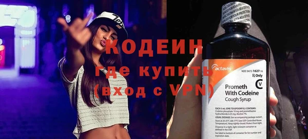 дурь Алексин