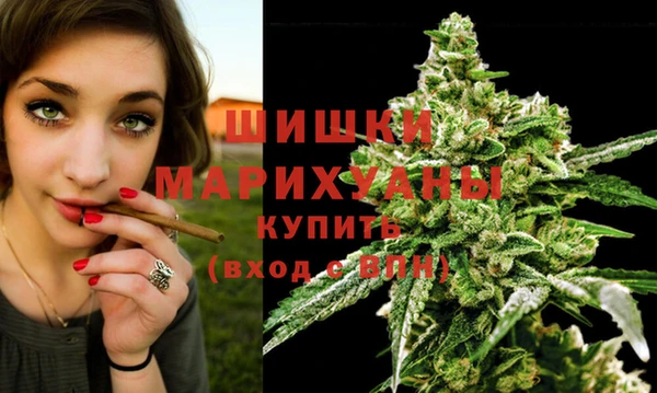 дмт Россошь