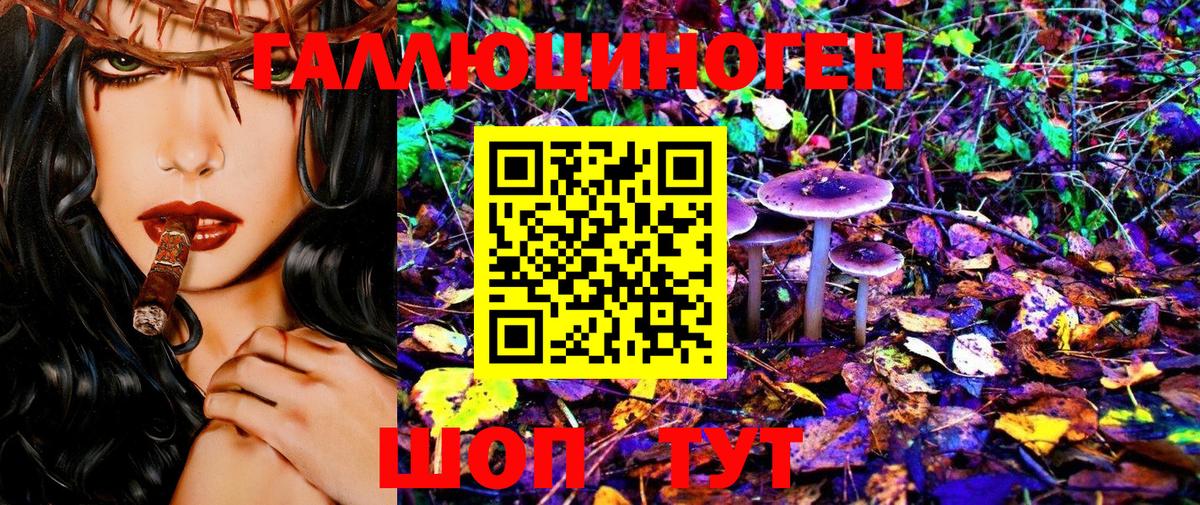 Лесосибирск  Псилоцибиновые грибы Psilocybe  Псилоцибиновые грибы мицелий  Вход с VPN 